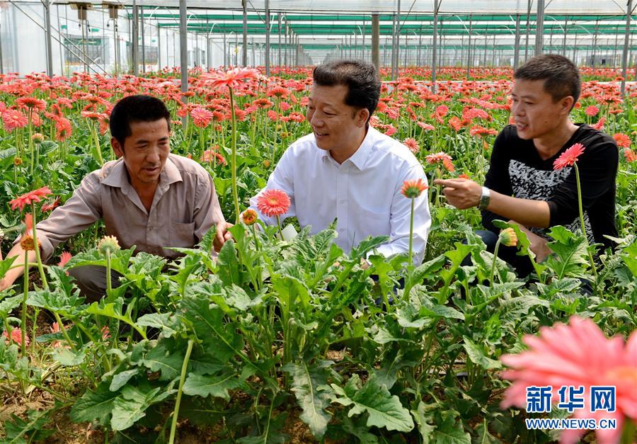 （新華全媒頭條·愛國情 奮斗者·圖文互動）（8）致敬，為祖國獻(xiàn)身的英雄！