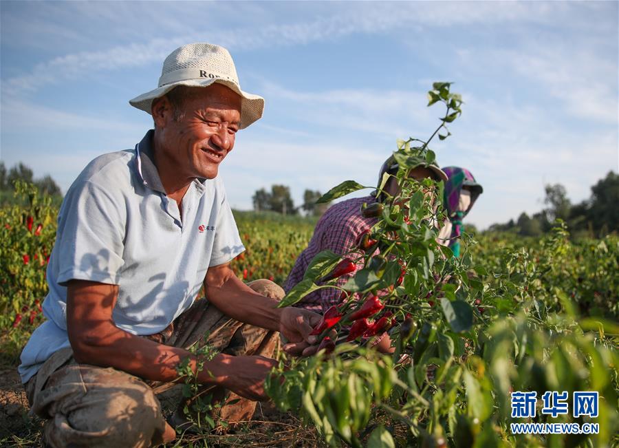 （在習(xí)近平新時(shí)代中國(guó)特色社會(huì)主義思想指引下——新時(shí)代新作為新篇章·總書記關(guān)切高質(zhì)量發(fā)展·圖文互動(dòng)）（1）翻過“貧困”山，通向“幸?！闭尽撠毠?jiān)“殲滅戰(zhàn)”里的小故事