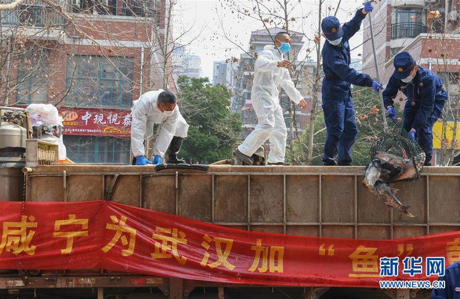 （新華全媒頭條·圖文互動）（12）從人民中汲取磅礴力量——習(xí)近平總書記同出席2020年全國兩會人大代表、政協(xié)委員共商國是紀(jì)實(shí)